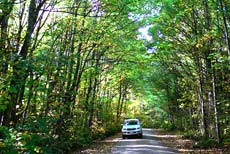 Peel Forest Lodge is located adjacent to stunning native bush with views to mountains across deer farmland